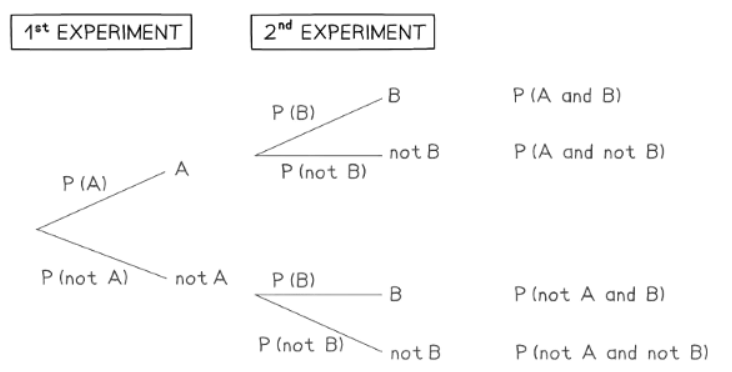 Probability Tree Diagrams | Mathematics for GCSE/IGCSE - Class 10