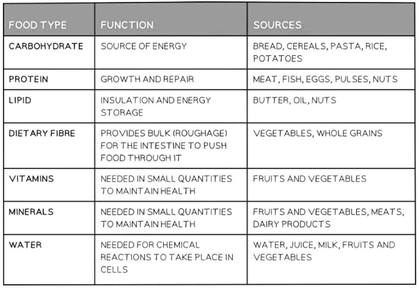 Diet & Deficiencies | Biology for GCSE/IGCSE - Class 10