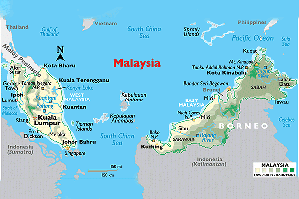 Deforestation of Tropical Rainforest | Geography for GCSE/IGCSE - Class 10