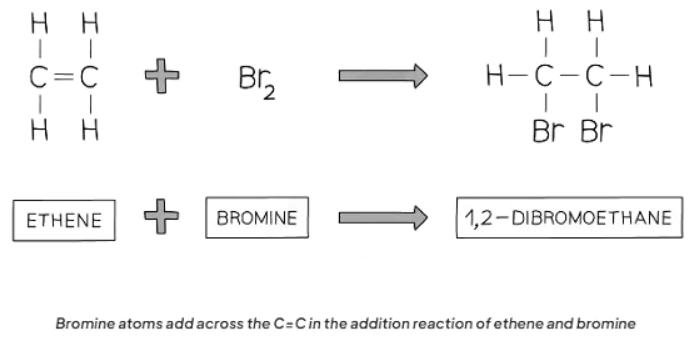 Addition Reactions | Chemistry for GCSE/IGCSE - Class 10
