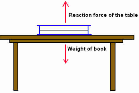 Force Diagrams and Resultant Forces - Year 7