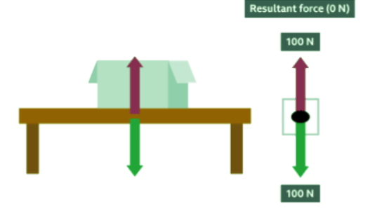Force Diagrams and Resultant Forces - Year 7