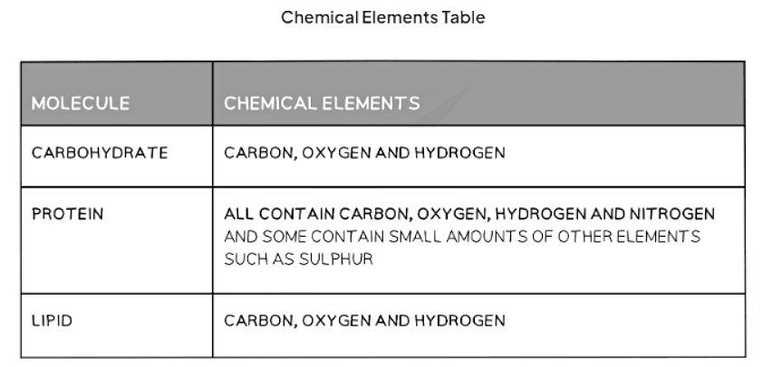 Chemicals & Life | Biology for GCSE/IGCSE - Class 10