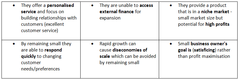 Reasons for Businesses to Remain Small | Business Studies for GCSE/IGCSE - Class 10