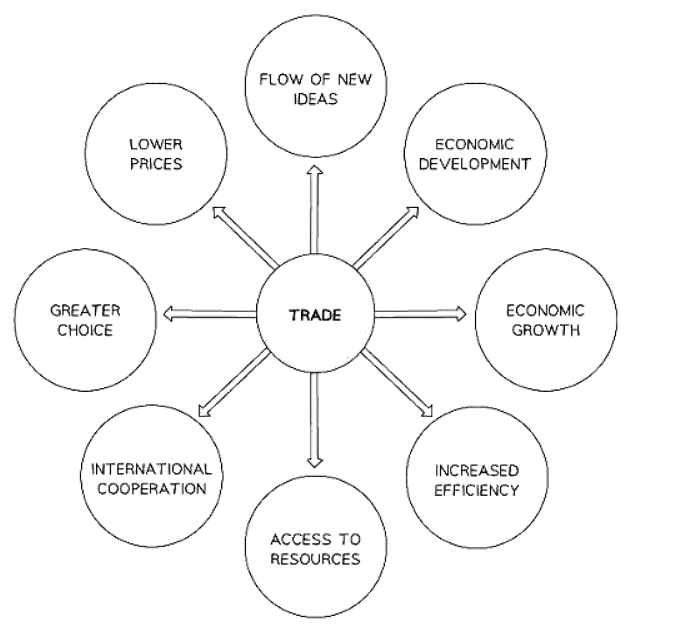 Free Trade | Economics for GCSE/IGCSE - Class 10