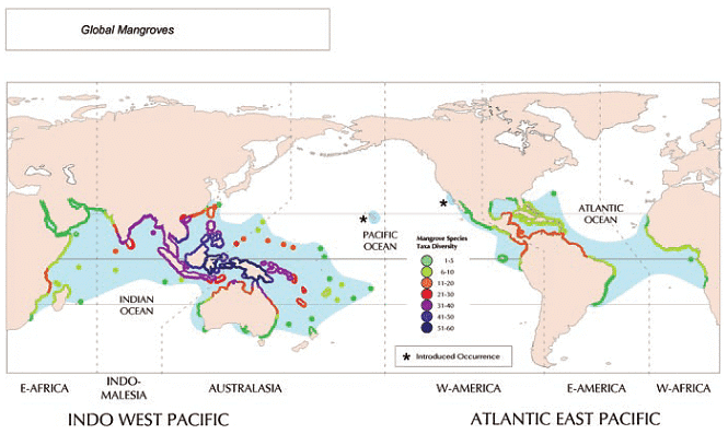 Coastal Ecosystems | Geography for GCSE/IGCSE - Class 10