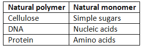 Polymers - Year 7