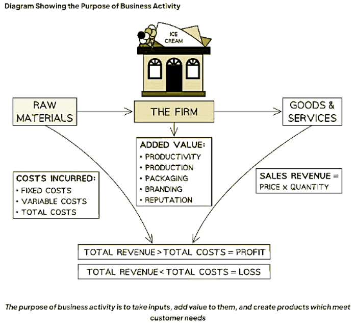 The Nature of Business Activity | Business Studies for GCSE/IGCSE - Year 11