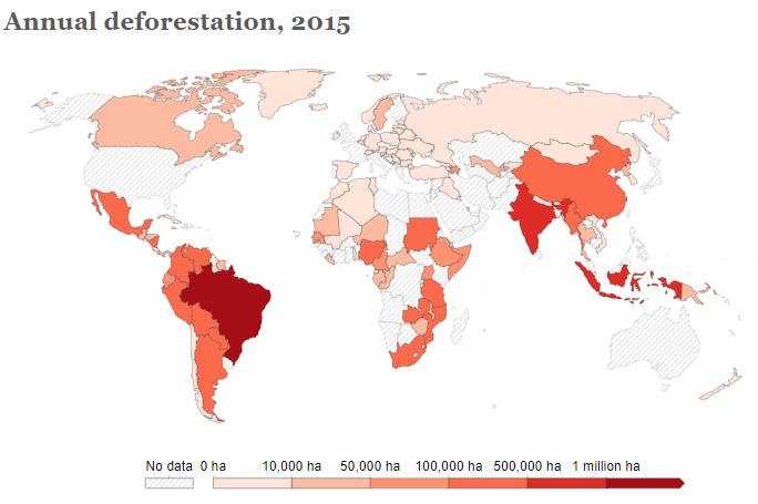 Deforestation of Tropical Rainforest | Geography for GCSE/IGCSE - Class 10