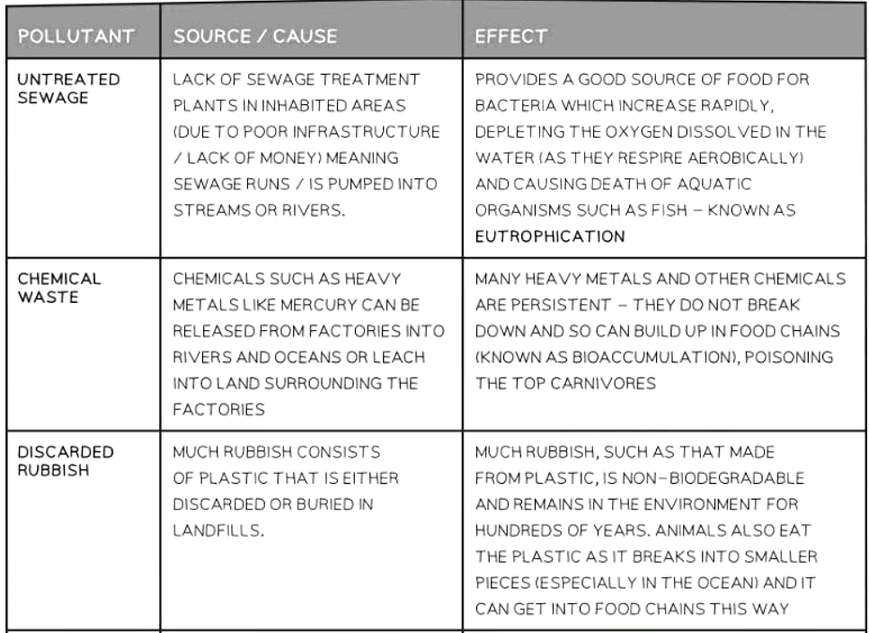 Untreated Sewage & Excess Fertiliser
