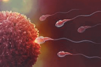 Variation and inheritance | Year 9 Biology (Cambridge)