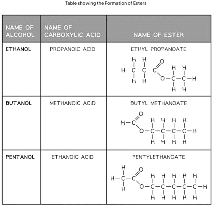 Ethanoic Acids & Esterification Reactions | Chemistry for GCSE/IGCSE - Year 11