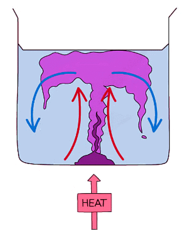 Diagram showing an experiment with potassium permanganate to demonstrate convection