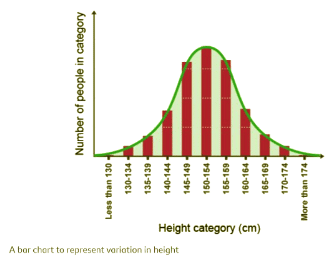Types of variation - Year 7