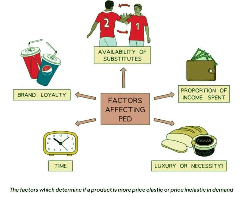 Price: The Significance of Price Elasticity of Demand | Business Studies for GCSE/IGCSE - Class 10