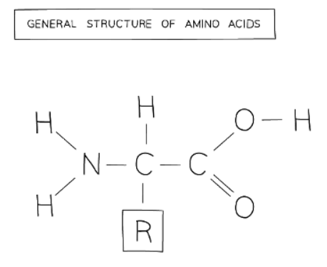Chemicals & Life | Biology for GCSE/IGCSE - Class 10