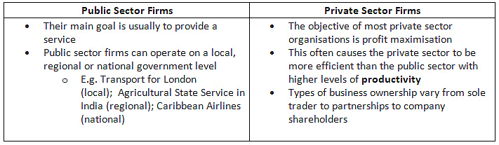 Classification of Firms | Economics for GCSE/IGCSE - Class 10