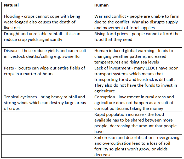 Food Shortages | Geography for GCSE/IGCSE - Class 10