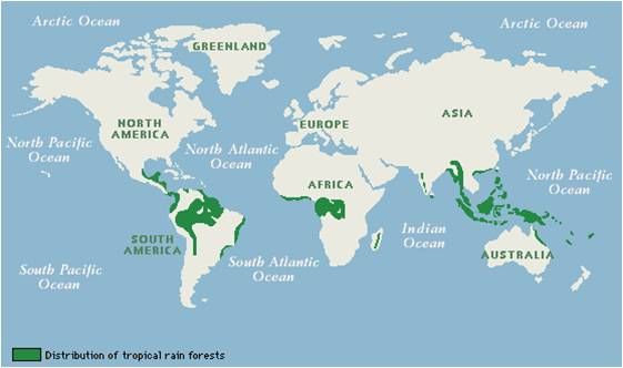 Climate Characteristics | Geography for GCSE/IGCSE - Class 10