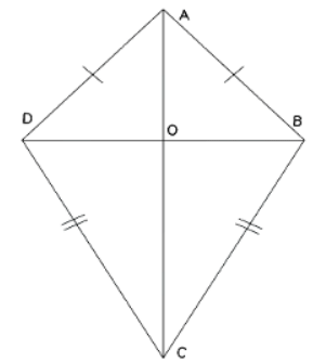 2D Shapes | Mathematics for GCSE/IGCSE - Year 11