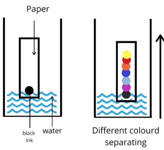 Chromatography | Chemistry for GCSE/IGCSE - Class 10