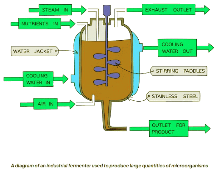 Biotechnology | Biology for GCSE/IGCSE - Class 10