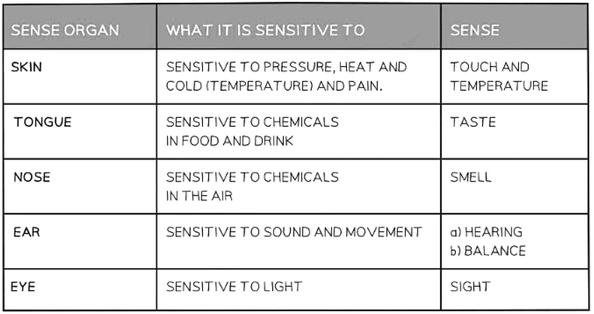 Sense Organs | Biology for GCSE/IGCSE - Class 10