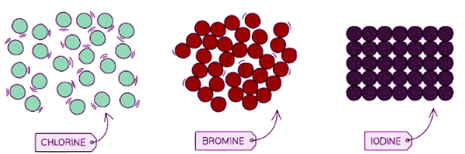 Group VII Properties | Chemistry for GCSE/IGCSE - Class 10