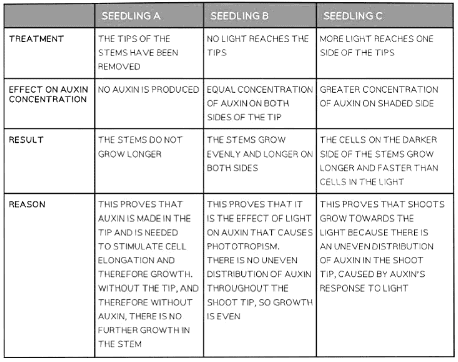 Tropisms | Biology for GCSE/IGCSE - Class 10