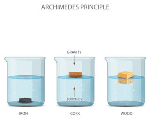 Forces | Year 9 Physics (Cambridge)
