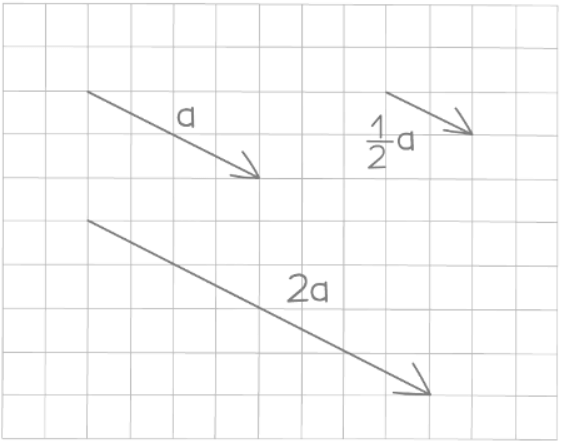 Introduction to Vectors | Mathematics for GCSE/IGCSE - Year 10