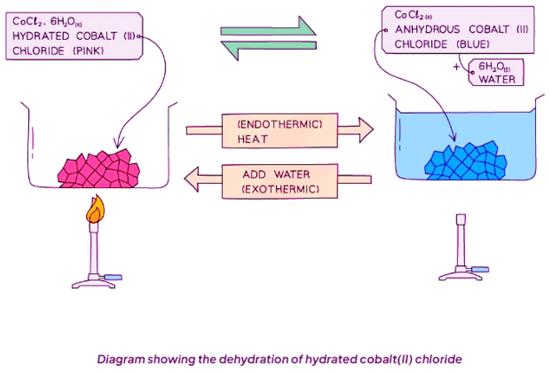 Reversible Reactions | Chemistry for GCSE/IGCSE - Class 10