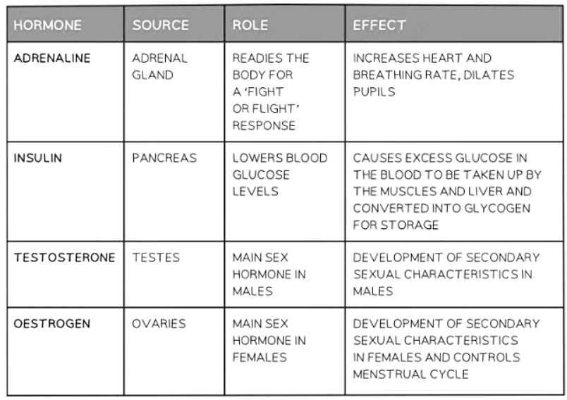 Hormones in Humans | Biology for GCSE/IGCSE - Class 10