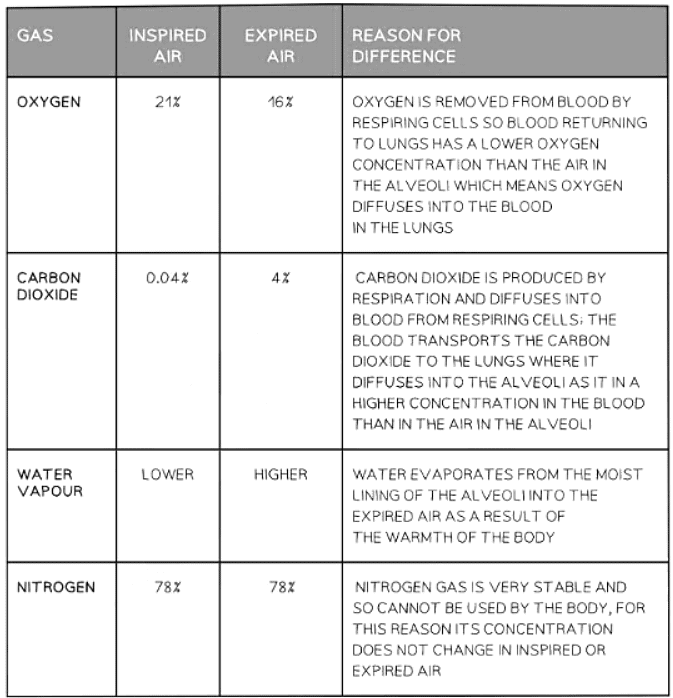 Reason for Differences Between Inspired & Expired Air Table
