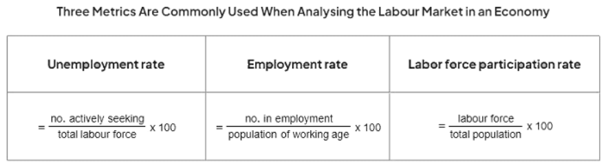 Measurement of Unemployment | Economics for GCSE/IGCSE - Year 11