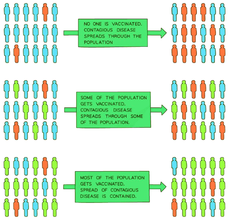 Preventing the Spread of Disease | Biology for GCSE/IGCSE - Class 10