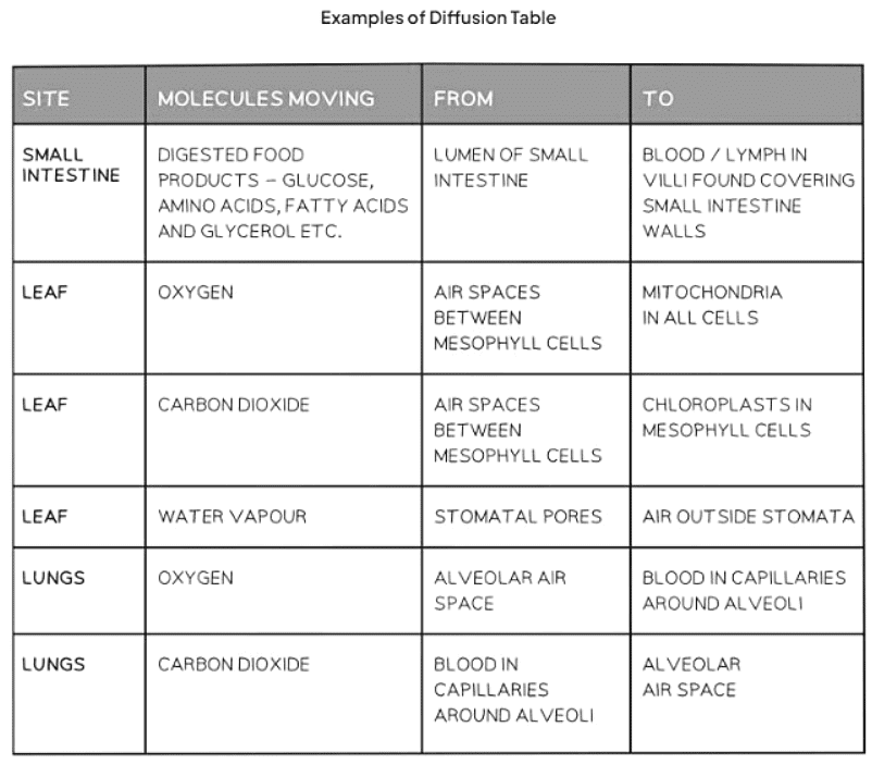 Diffusion in Biology | Biology for GCSE/IGCSE - Class 10