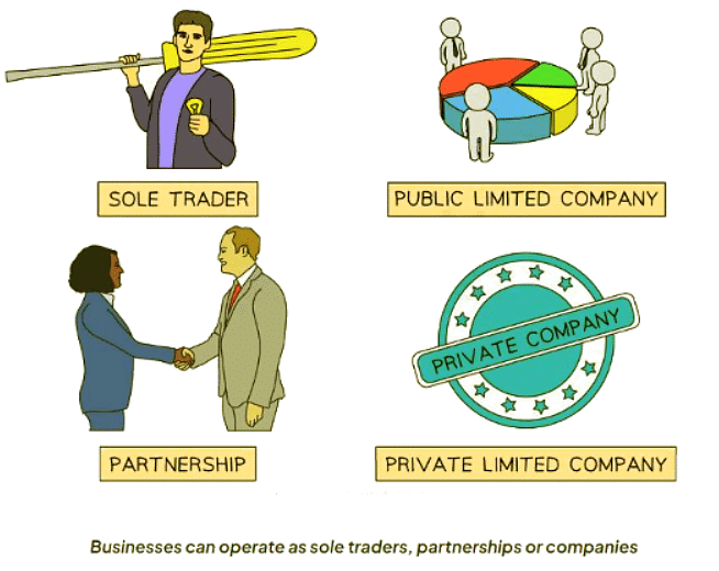 The Main Types of Ownership | Business Studies for GCSE/IGCSE - Year 11