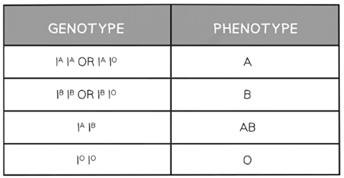 Codominance & Sex-Linked Characteristics | Biology for GCSE/IGCSE - Class 10