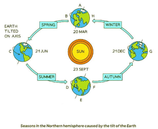 The Earth, Moon & Sun | Physics for GCSE/IGCSE - Class 10