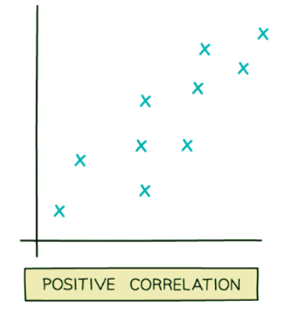 Scatter Graphs | Year 9 Mathematics IGCSE (Cambridge) - Class 9