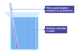 Example of an Exothermic Reaction