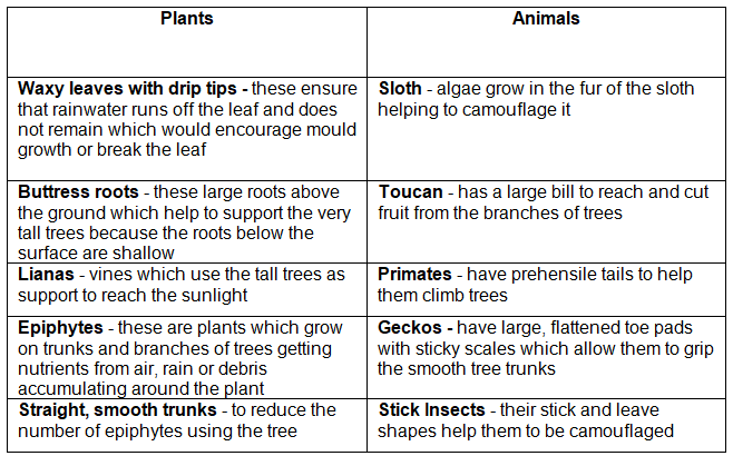 Ecosystem Characteristics | Geography for GCSE/IGCSE - Class 10