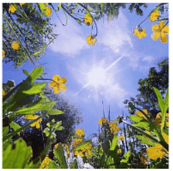 Endothermic reactions