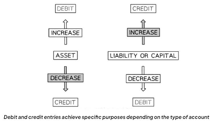 The Double Entry System | Accounting for GCSE/IGCSE - Class 10