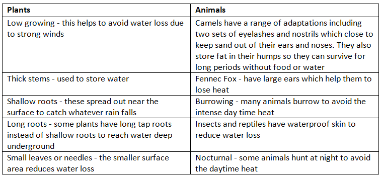 Ecosystem Characteristics | Geography for GCSE/IGCSE - Class 10