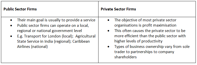 Classification Using the Public & Private Sector | Business Studies for GCSE/IGCSE - Class 10