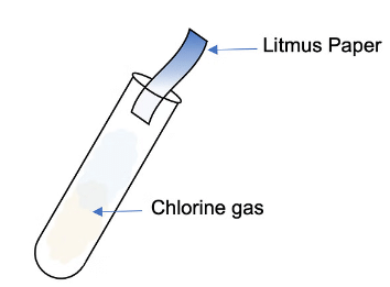 Electrolysis of Aqueous Sodium Chloride and Dilute Sulfuric Acid | Chemistry for GCSE/IGCSE - Class 10