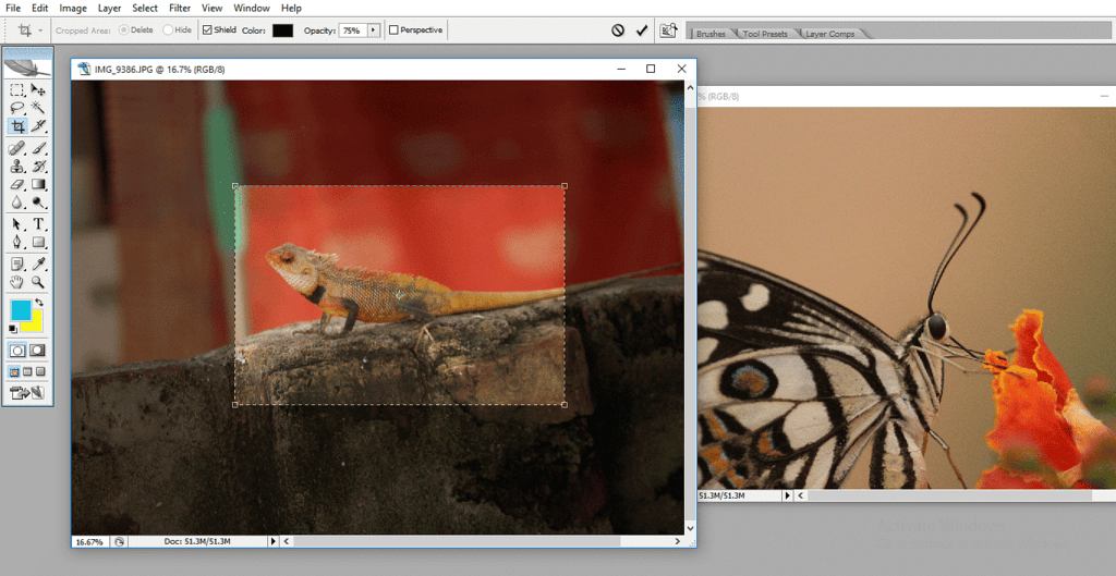 Image Editing | IGCSE Information and Communication Technology Preparation - Year 11