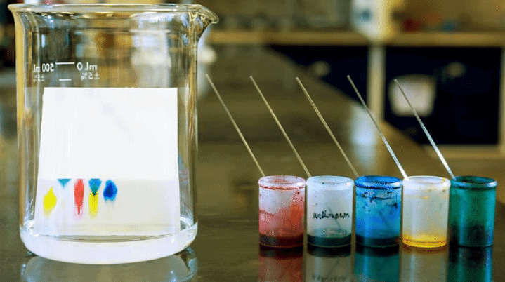 Chromatography - Year 7